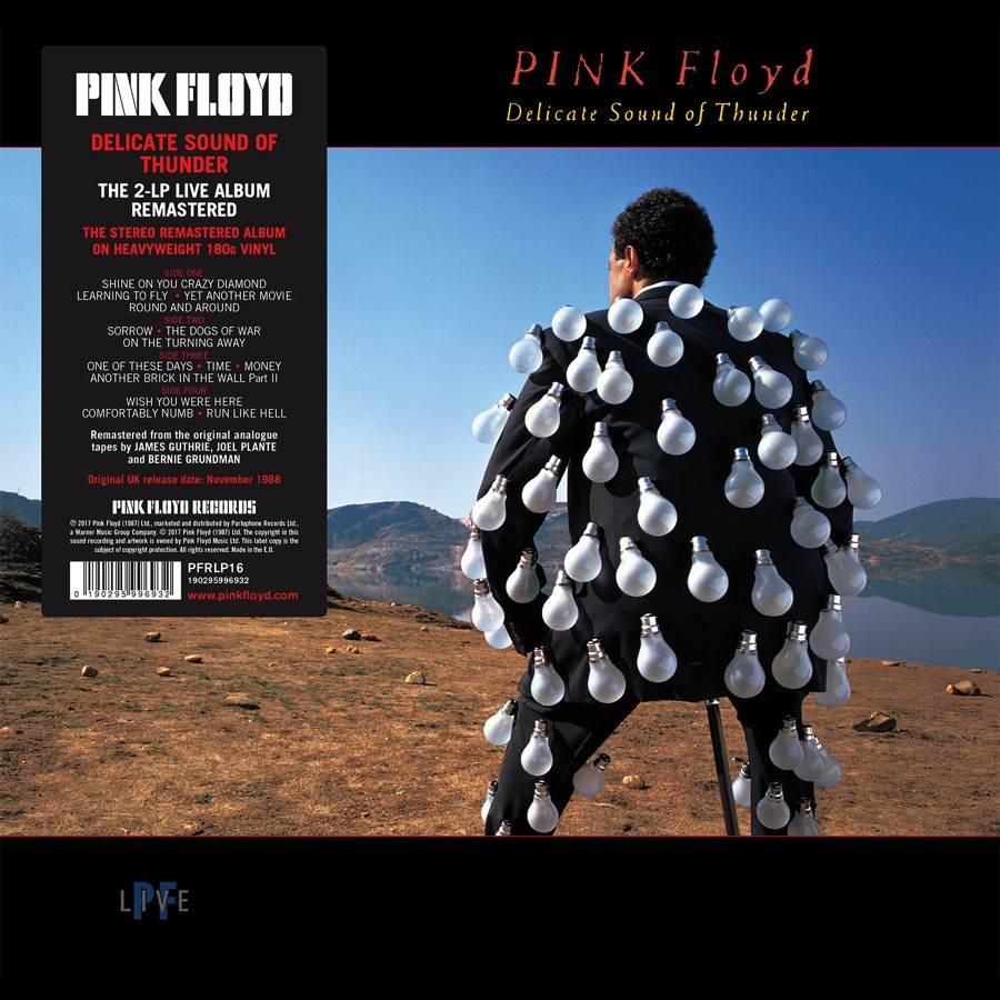 Pink Floyd Records - Delicate Sound Of Thunder - Remastered Vinyl