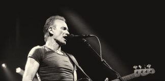 Sting Konzerte 2019