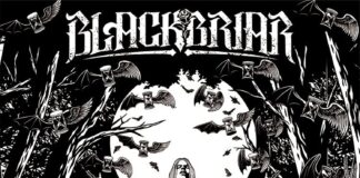 Blackbriar - A dark euphony von Blackbriar - CD (Jewelcase) Bildquelle: EMP.de / Blackbriar