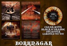 Borknagar - Epic von Borknagar - LP (Coloured