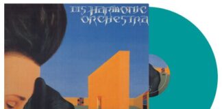 Disharmonic Orchestra - Not to be undimensional conscious von Disharmonic Orchestra - LP (Coloured