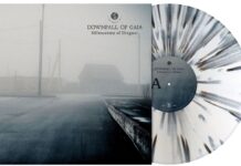 Downfall Of Gaia - Silhouettes of disgust von Downfall Of Gaia - LP (Coloured