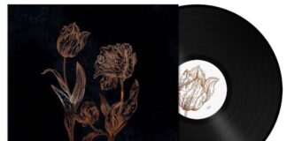 Dvne - Cycles of Asphodel von Dvne - LP (Limited Edition