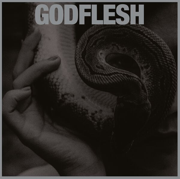 Godflesh - Purge von Godflesh - CD (Jewelcase) Bildquelle: EMP.de / Godflesh