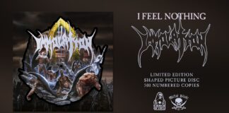 Immolation - I feel nothing von Immolation - LP (Limited Edition