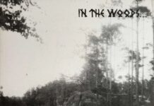 In The Woods - Isle of men von In The Woods - CD (Jewelcase) Bildquelle: EMP.de / In The Woods