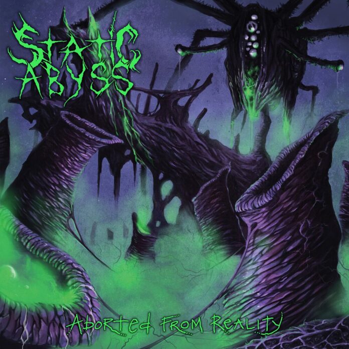 Static Abyss - Aborted from reality von Static Abyss - LP (Standard) Bildquelle: EMP.de / Static Abyss