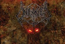Unleashed - Sworn allegiance von Unleashed - LP (Coloured