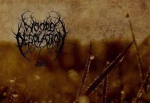 Woods Of Desolation - Sorh von Woods Of Desolation - CD (Digipak) Bildquelle: EMP.de / Woods Of Desolation