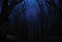 Woods Of Desolation - Torn beyond reason von Woods Of Desolation - CD (Digipak) Bildquelle: EMP.de / Woods Of Desolation