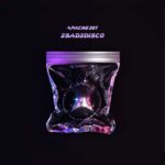 Apache 207 - 2sad2disco von Apache 207 - LP (Limited Edition