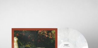 Casey - How To Disappear von Casey - LP (Coloured