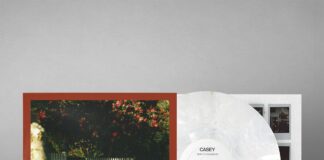 Casey - How To Disappear von Casey - LP (Coloured