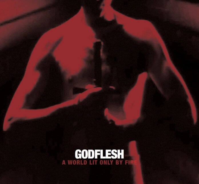 Godflesh - A world lit only by fire von Godflesh - LP (Coloured