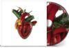 Carcass - Torn arteries von Carcass - CD (Jewelcase