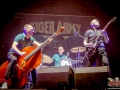 BROILERS-Konzertfotos-Leipzig-2017-3663