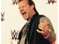 WWE Superstar Chris Jericho auf dem roten Teppich bei der WWE Live-Show am 15.11.2014 in Frankfurt